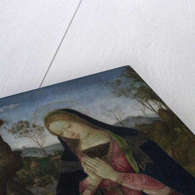 Virgin and Child, c. 1490-1500 by Pintoricchio