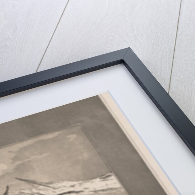 Vom Tode I, No. 3 by Max Klinger