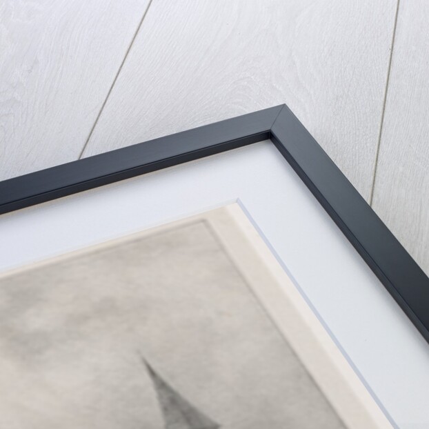 Voyages pittoresques et romantiques dans lancienne France, Franche-Comté…, 1825 by Richard Parkes Bonington