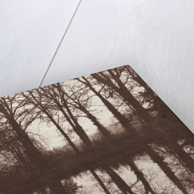 Winter Trees Reflected in a Pond, 1841-42 by William Henry Fox Talbot