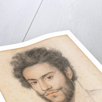 Young Man with a Beard by François Quesnel (attributed to)