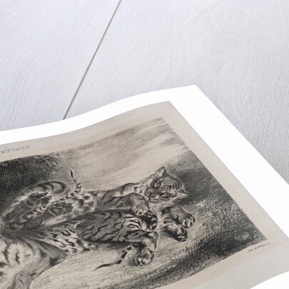 Young Tiger Playing with its Mother, 1831 by Eugène Delacroix