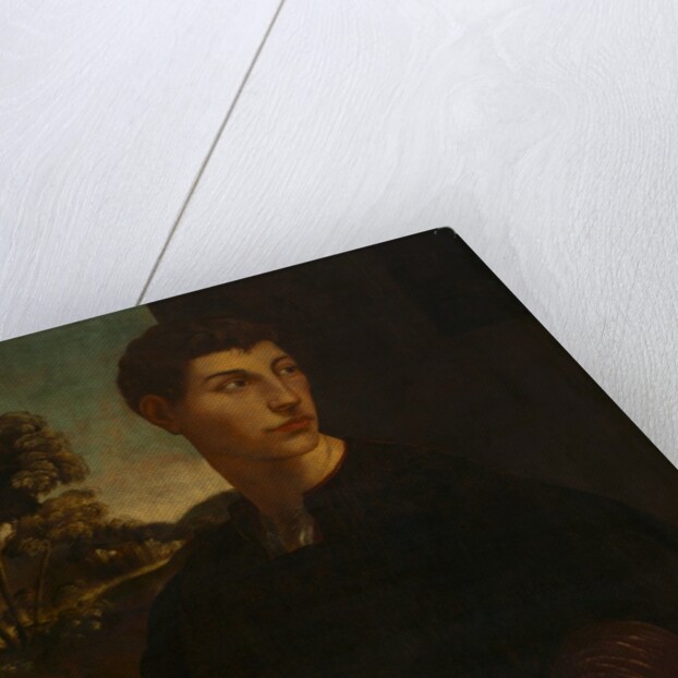 Portrait of a Young Man, c. 1530 by Dosso Dossi (follower of)