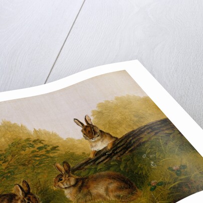 Rabbits on a Log, 1897 by Arthur Fitzwilliam Tait