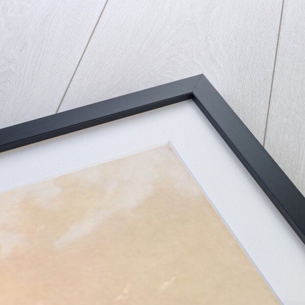 Fur Traders Descending the Missouri, 1845 by George Caleb Bingham