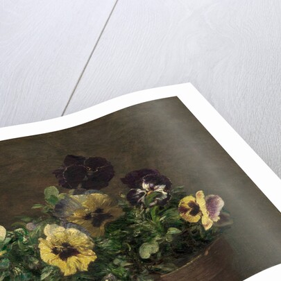 Potted Pansies, 1883 by Henri Fantin-Latour