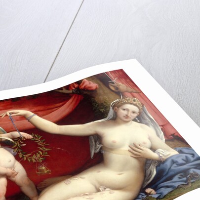 Venus and Cupid, 1520s by Lorenzo Lotto