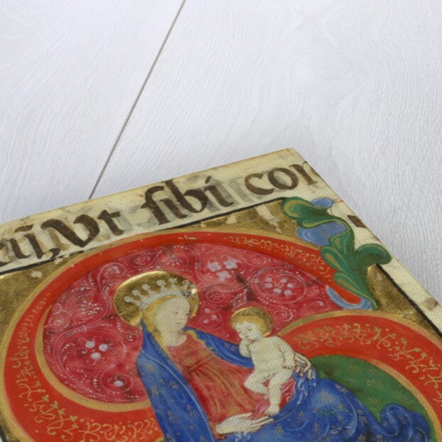 Manuscript Illumination with the Virgin and Child in an Initial S…, mid-15th century by Master of the Franciscan Breviary