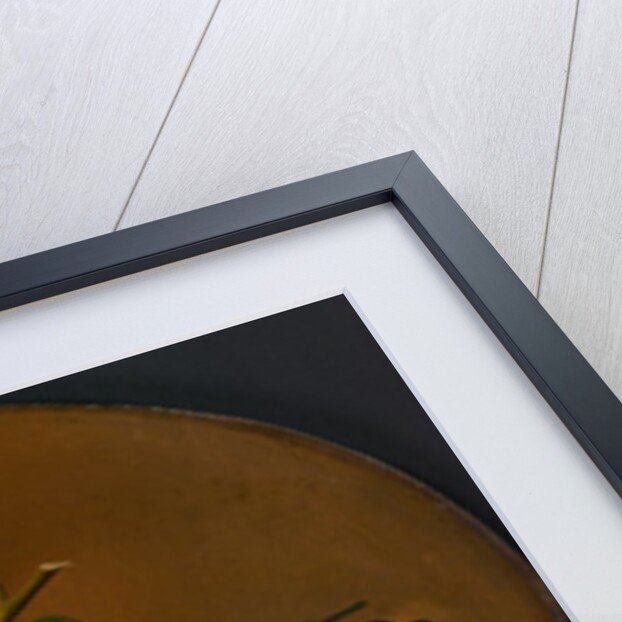 Still Life Fruit and Wine Glass, 1865-70 by Severin Roesen