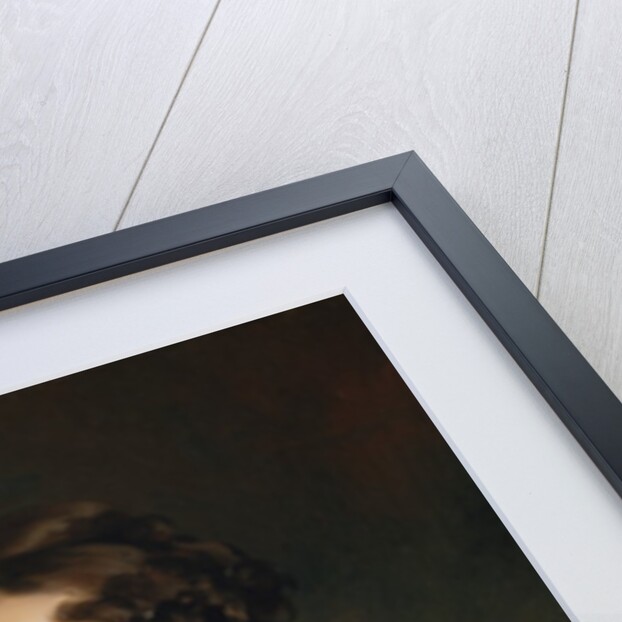 Mrs. John Biddle, 1818 by Thomas Sully