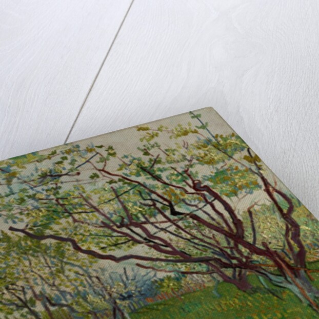 The Flowering Orchard, 1888 by Vincent van Gogh