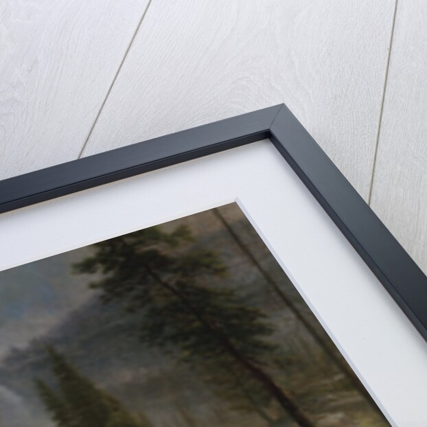 Nevada Falls, Yosemite, 1872 or 1873 by Albert Bierstadt