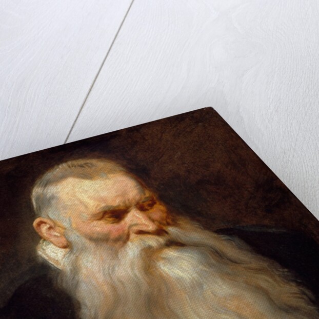 Study Head of an Old Man with a White Beard, ca. 1617-20 by Anthony van Dyck