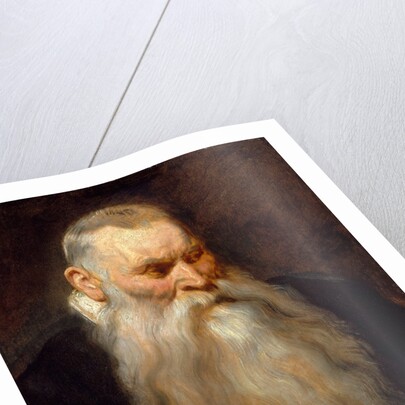 Study Head of an Old Man with a White Beard, ca. 1617-20 by Anthony van Dyck