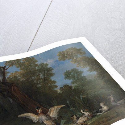 Ducks Resting in Sunshine, 1753 by Jean-Baptiste Oudry