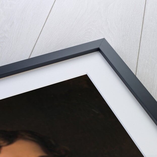 Louis-Félix Amiel, 1837 by Eugene Deveria