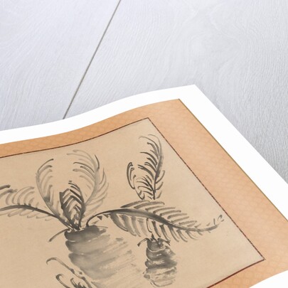 Cycad, mid-18th century by Ike no Taiga