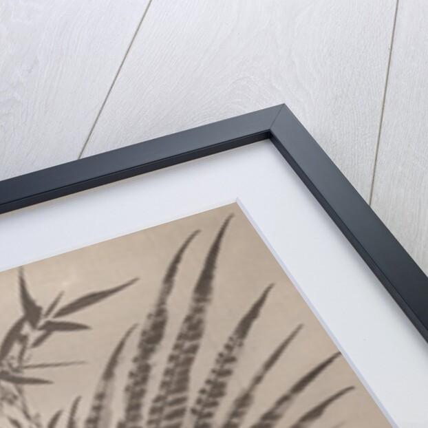 Pheasant Caught by a Snake, ca. 1887 by Kawanabe Kyosai