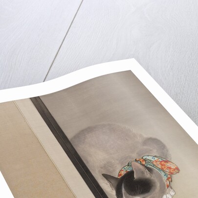 Cat Watching a Spider, ca. 1888-92 by Toko Oide