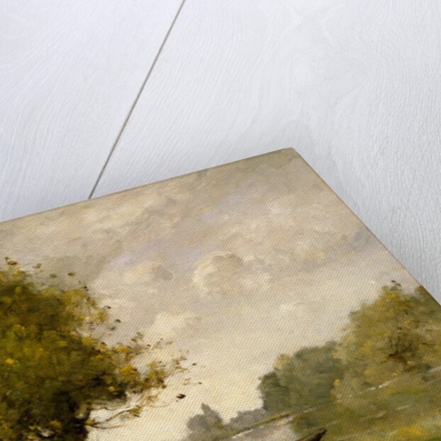 A Pond near Nangis, 1880-95 by Paul-Désiré Trouillebert