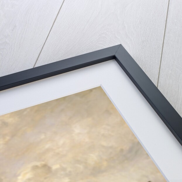 A Pond near Nangis, 1880-95 by Paul-Désiré Trouillebert