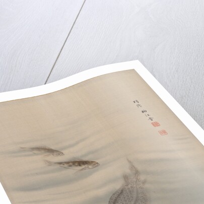 Fishes, ca. 1890-92 by Seki Shuko