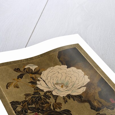 Lacquer Paintings of Various Subjects: Peonies, 1882 by Shibata Zeshin