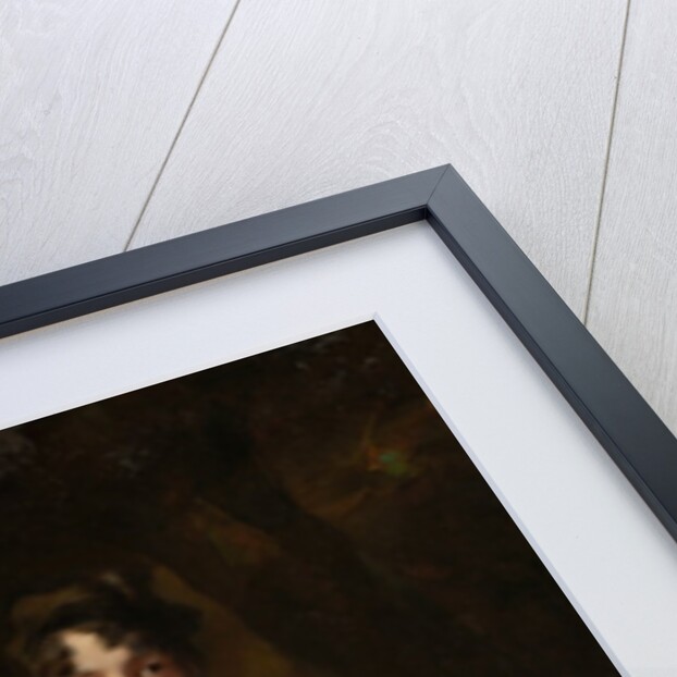 Lady Maitland by Henry Raeburn