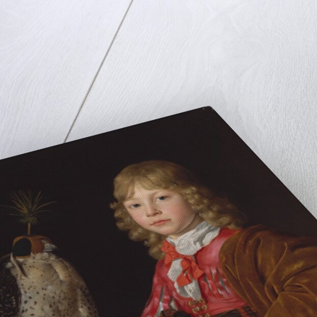 Portrait of a Boy with a Falcon by Wallerant Vaillant