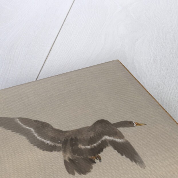 Flying Goose, ca. 1887 by Watanabe Seitei