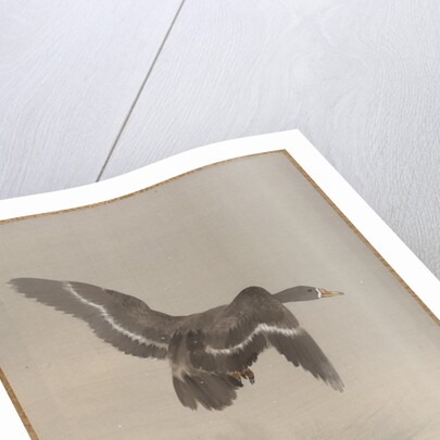 Flying Goose, ca. 1887 by Watanabe Seitei