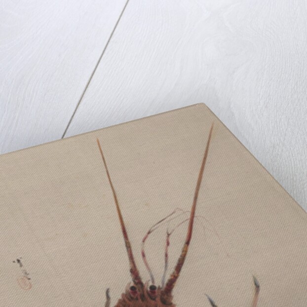 Crayfish, ca. 1887 by Watanabe Seitei