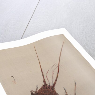 Crayfish, ca. 1887 by Watanabe Seitei
