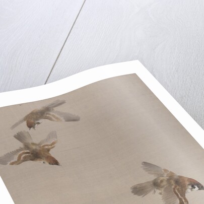 Sparrows Flying, ca. 1887 by Watanabe Seitei