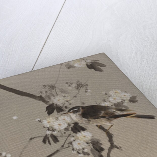 Birds on a Flowering Branch, ca. 1887 by Watanabe Seitei