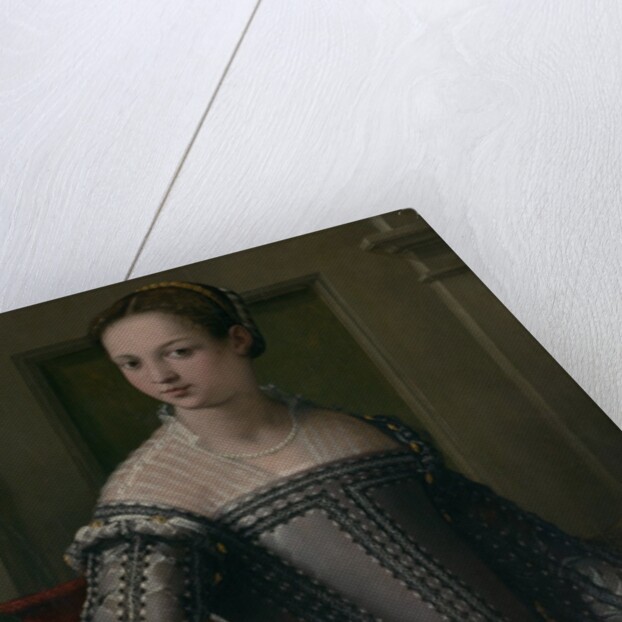 Portrait of a Woman, mid-16th century by Jacopo Zucchi