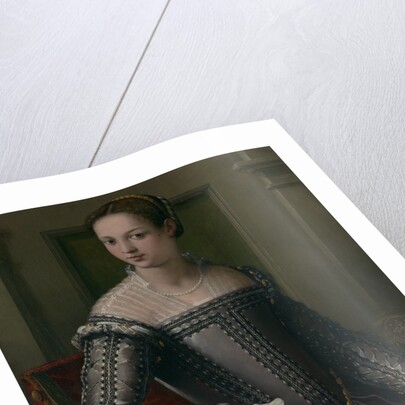 Portrait of a Woman, mid-16th century by Jacopo Zucchi