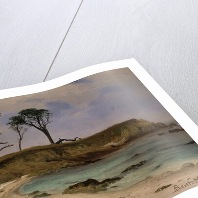 Sea Cove, ca. 1880-90 by Albert Bierstadt