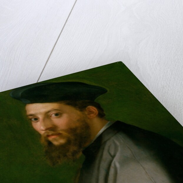 Portrait of a Man, 1528-30 by Andrea del Sarto