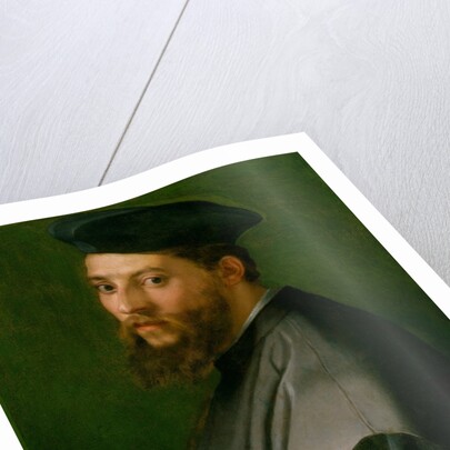 Portrait of a Man, 1528-30 by Andrea del Sarto