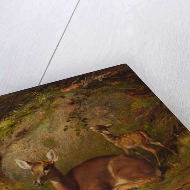Doe and Two Fawns, 1882 by Arthur Fitzwilliam Tait