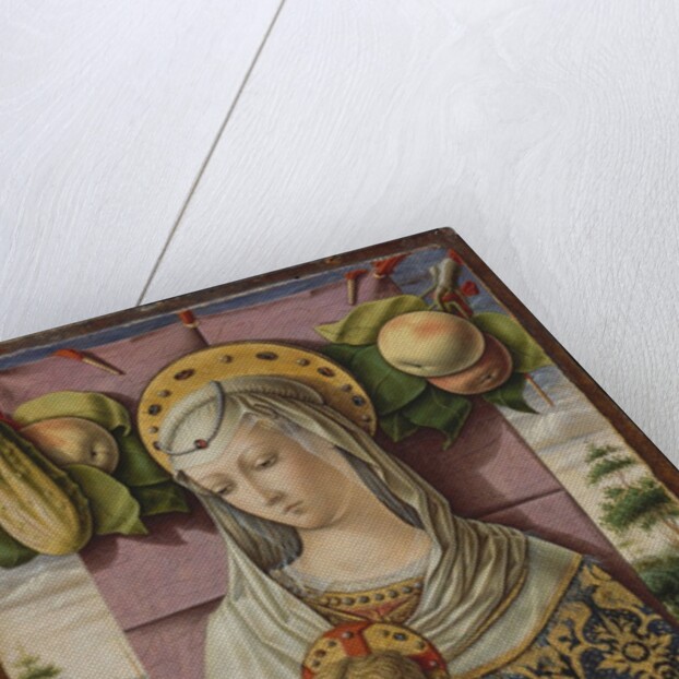 Madonna and Child, ca. 1480 by Carlo Crivelli