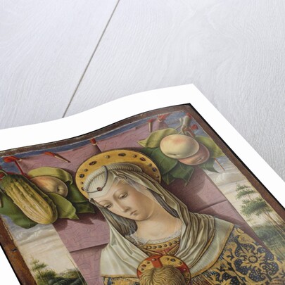 Madonna and Child, ca. 1480 by Carlo Crivelli