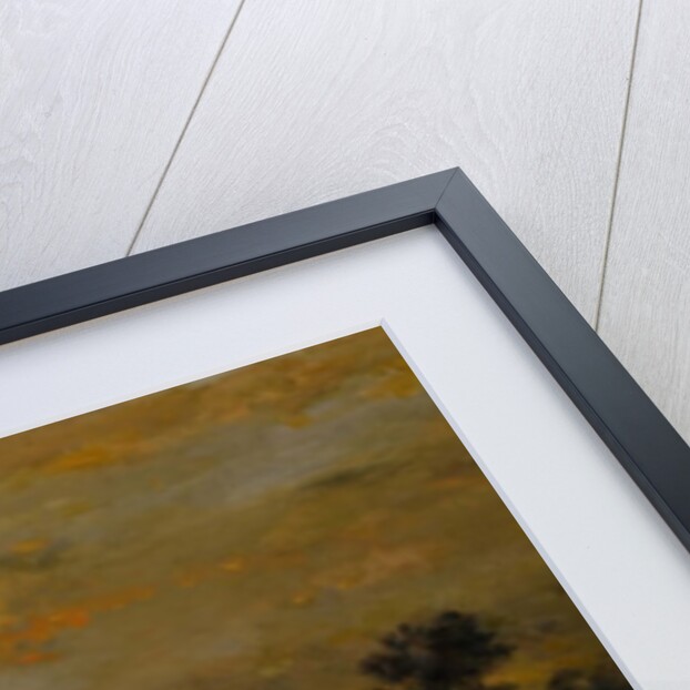 Landscape with Ducks, 1872 by Charles Francois Daubigny