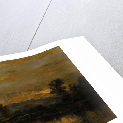 Landscape with Ducks, 1872 by Charles Francois Daubigny