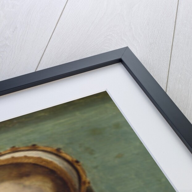 Anne de Pisseleu, Duchesse d'Etampes, ca. 1535-40 by Corneille de Lyon