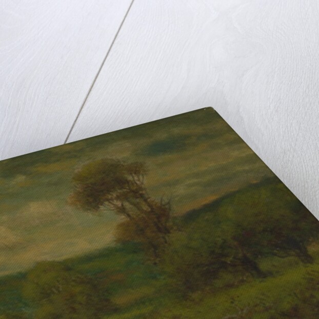 Landscape, 1884 or 1889 by George Inness