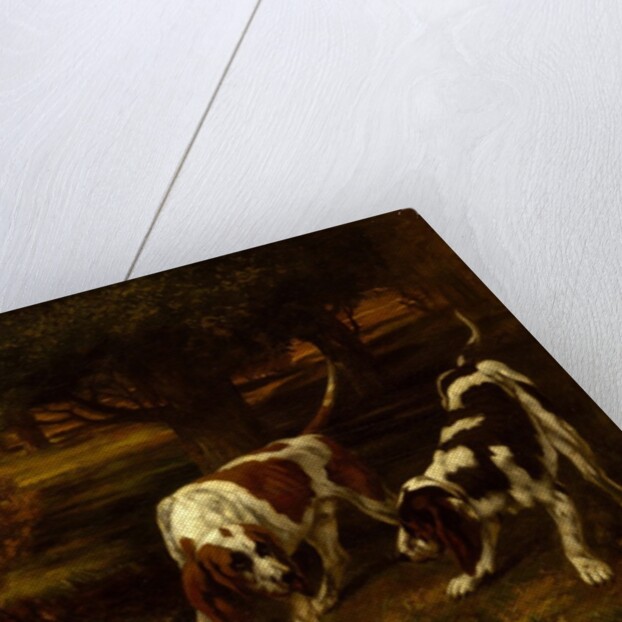 Hunting Dogs with Dead Hare, 1857 by Gustave Courbet