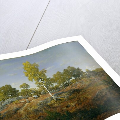 A Path among the Rocks, probably 1861 by Theodore Rousseau