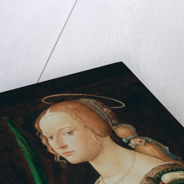 Saint Justina of Padua, 1490s by Bartolomeo Montagna